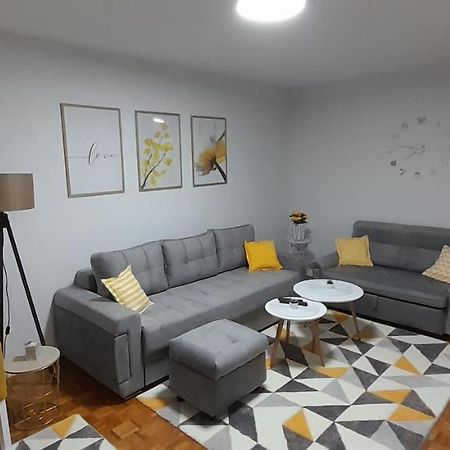 Cozy And Sunny Apartment Near The Airport Sarajevo Eksteriør billede