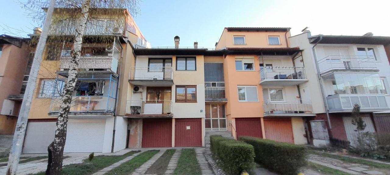 Cozy And Sunny Apartment Near The Airport Sarajevo Eksteriør billede