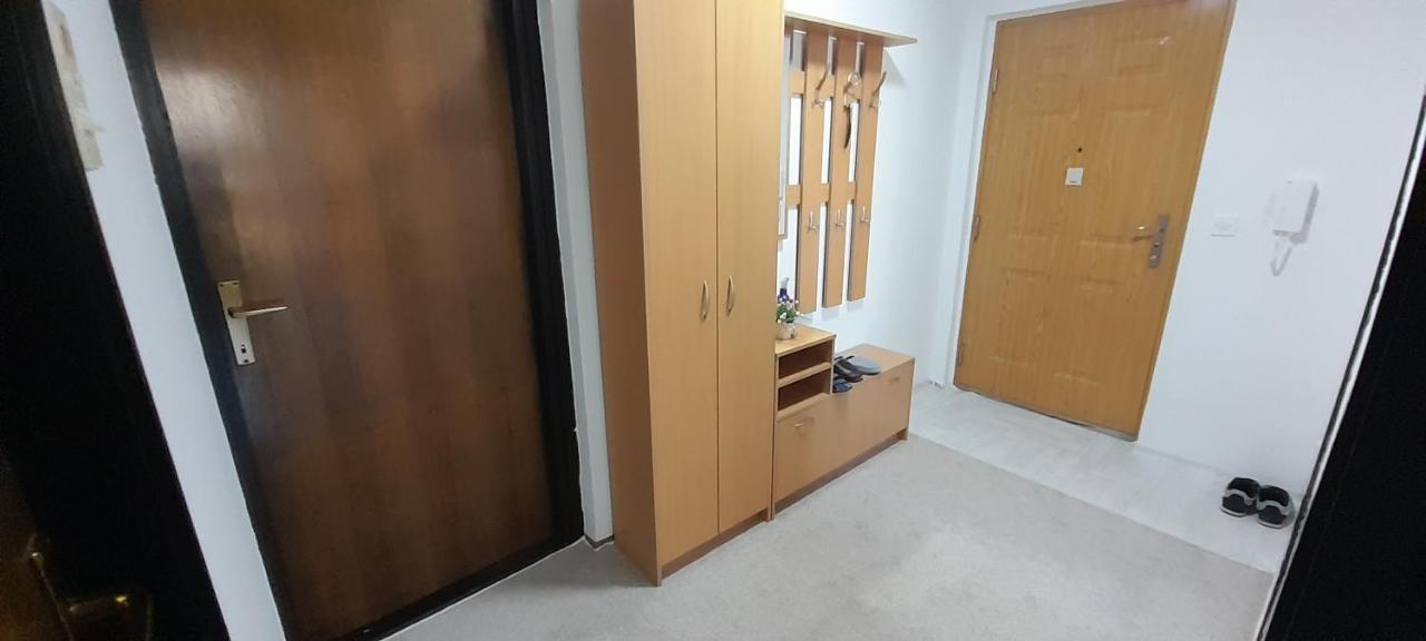 Cozy And Sunny Apartment Near The Airport Sarajevo Eksteriør billede